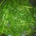 Washed Coriander, coriander chilli paste